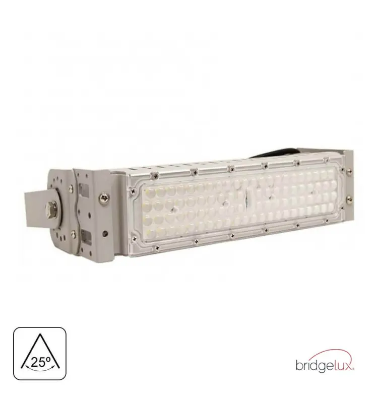 Proiettore LED 50W MAGNUM PRO SMD3030 Bridgelux 180Lm/W 25º | IP65 - Imagen 1