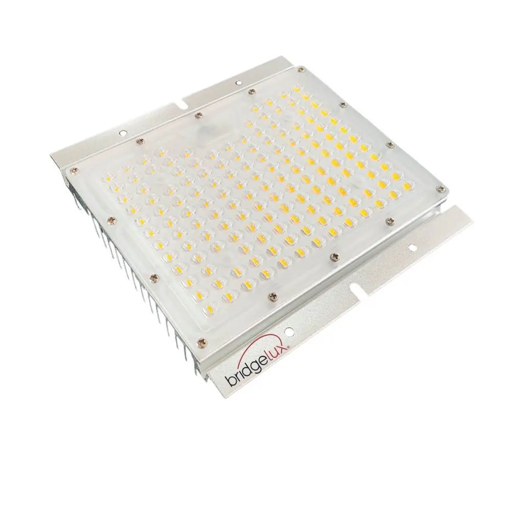 LED Optical Module 65W | SMD3030 Bridgelux Chip 180Lm/W | High Brightness | Asymmetric 78ºx156º | For LED Luminaires